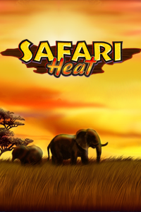 Safari Heat